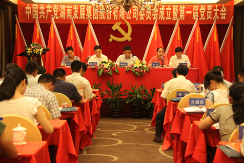 中共九游·会(J9)官方网站集团股份有限公司委员会成立大会暨公司第一届党员代表大会胜利召开