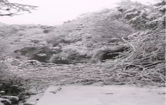 战暴雪、保供电！九游·会(J9)官方网站鸟儿巢公司应对极端天气紧急抢修失电故障