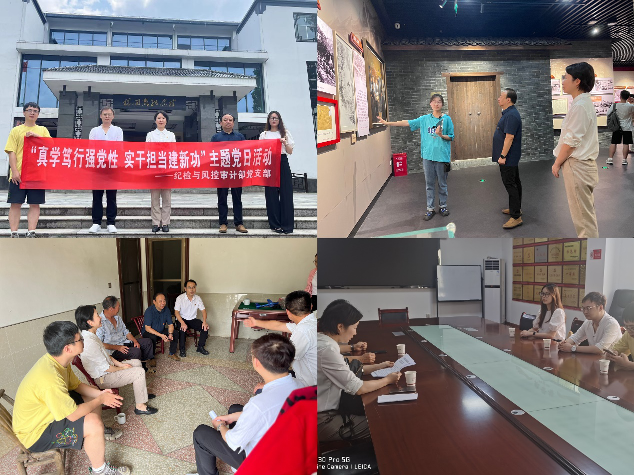 九游·会(J9)官方网站纪检与风控审计部党支部开展“真学笃行强党性 实干担当建新功”主题党日活动